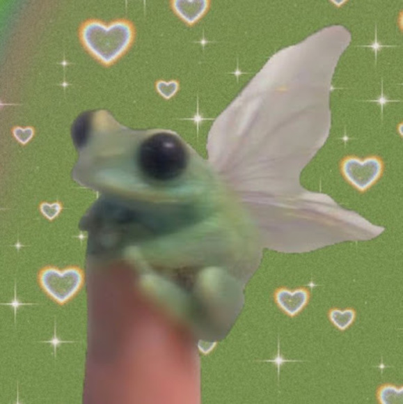 Meet your Posher, Cmay - Picture 1 of 1